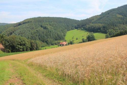 Apartamento Geigerbauernhof