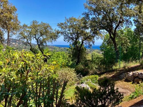 Apartamento Les Restanques Vue Mer 5 Pers Glycine 2067