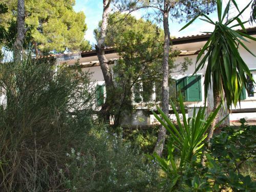 Villa Locazione Turistica Corbezzolo