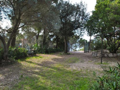 Villa Locazione Turistica Corbezzolo