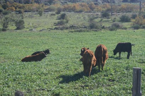 Agroturismo Lo Scudiero Di San Teodoro