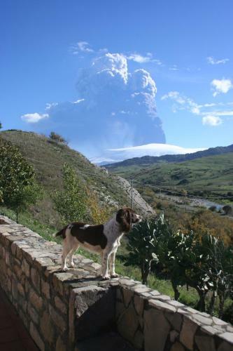 Agroturismo Lo Scudiero Di San Teodoro