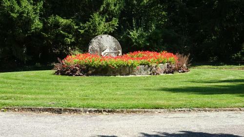 Bed & Breakfast Le Camelia