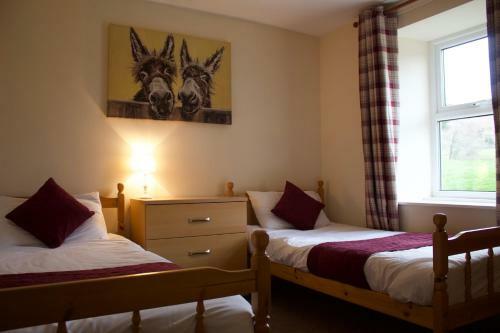 Apartamento Holiday Cottage 7