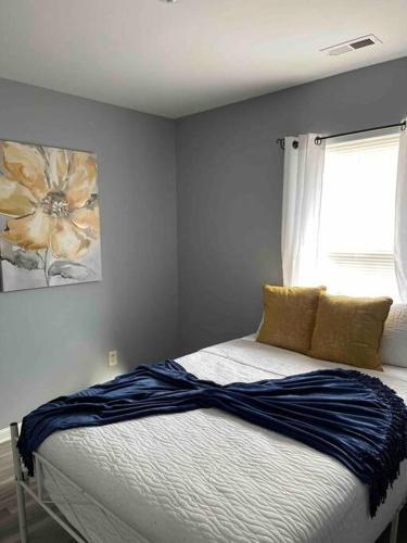 Cheerful Cozy 3 Bedroom Home With Free Parking