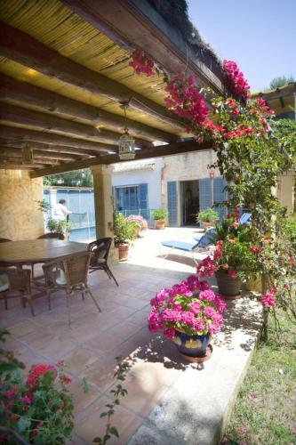 Villa Palma Paradise