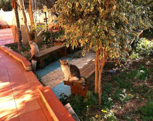 Apartamento Green House Sciacca