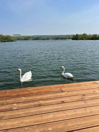 Long : Chalet Exceptionnel Au Coeur Des �tangs