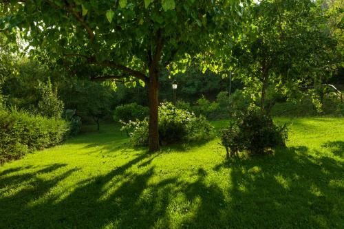 Agroturismo La Vecchia Quercia