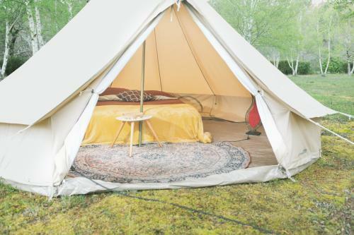 Le Rep�re Du Pin Sec - Glamping & Surfcamp