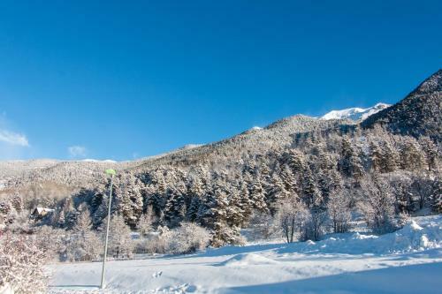 Chalet Premium -acc�s Pied de Piste En Navette