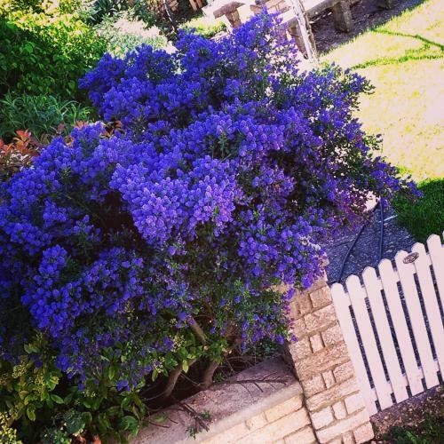 Bed & Breakfast Antica Corte Panego