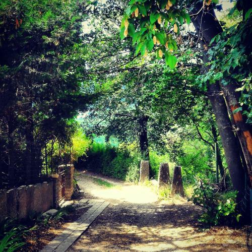 Bed & Breakfast Antica Corte Panego