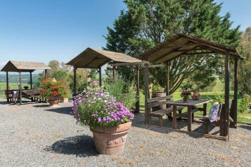 Agroturismo Agriturismo Casa Colsereno