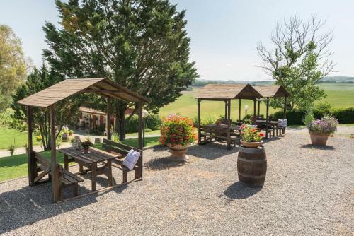 Agroturismo Agriturismo Casa Colsereno