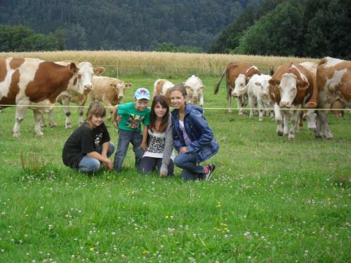 Agroturismo Wachahof