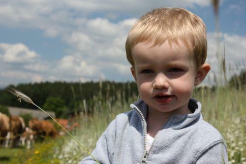Agroturismo Wachahof