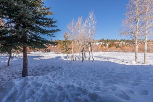 Snowcreek - #510 Phase IV