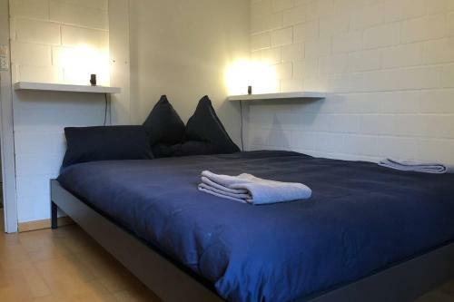 Apartamento Chalet Gruebi