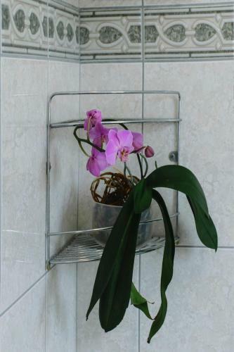 Hostal Irini Panzi�