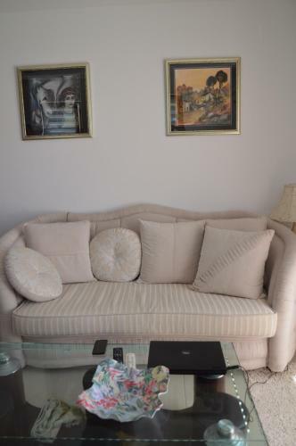 Vucic Apartment