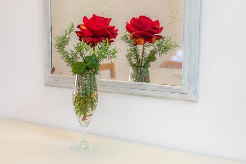 Apartamento Rosa Mar 8