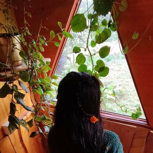 Apartamento Domo Vive Pellaifa