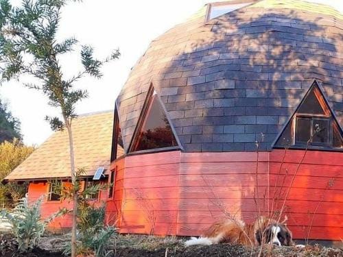 Apartamento Domo Vive Pellaifa