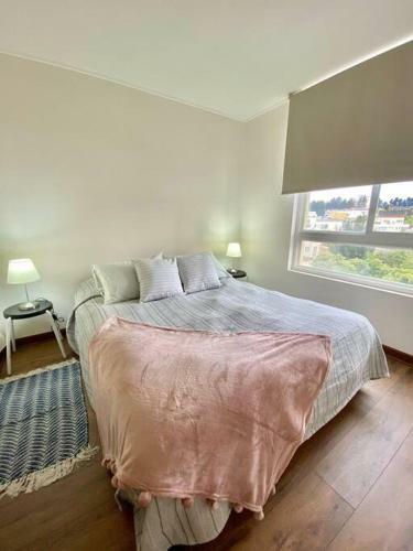 Apartamento Hermoso Y Acogedor Depto. Con Piscina En Conc�n