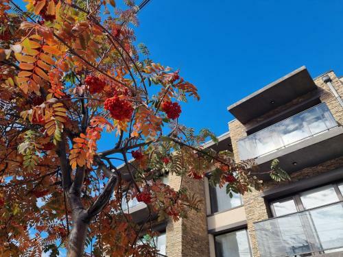 Apartamento Vista Norte 5 - Andarlibre