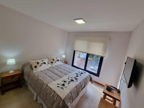 Apartamento Vista Norte 5 - Andarlibre