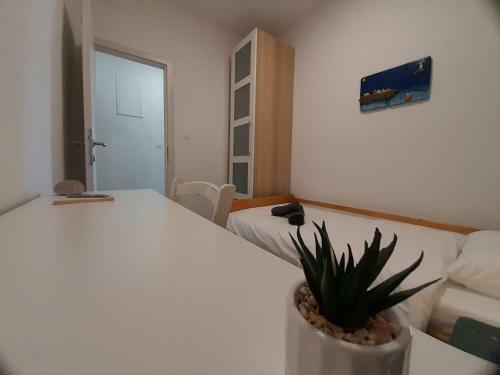 Apartman Vitamare