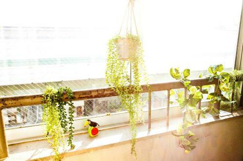 Apartamento Bentenro 502&601