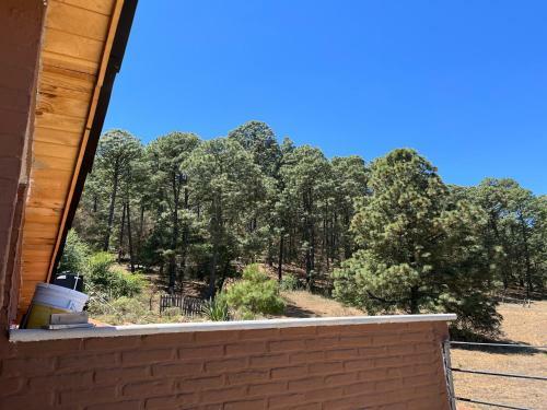 Loft Lobo Tapalpa