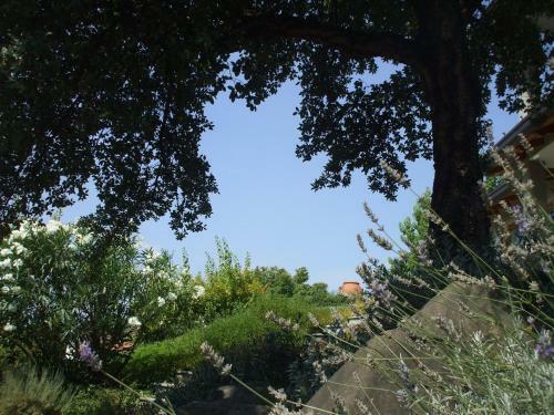 Bed & Breakfast Al Chiar�