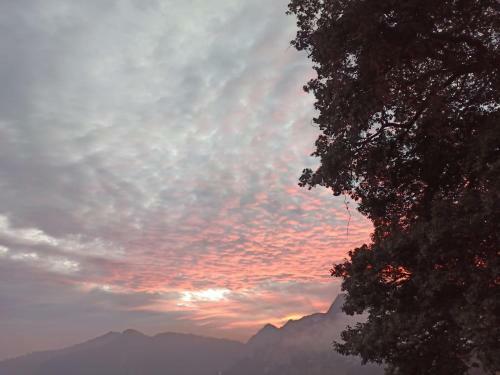 Malika Homestay Nainital