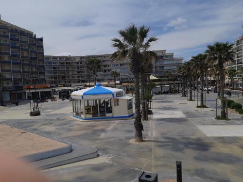 Apartamento Ipanema - Canet En Roussillon - Vue Mer - 41 M�