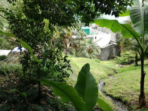 Apartament Dans La Verdure A 600 Mt Du Lac
