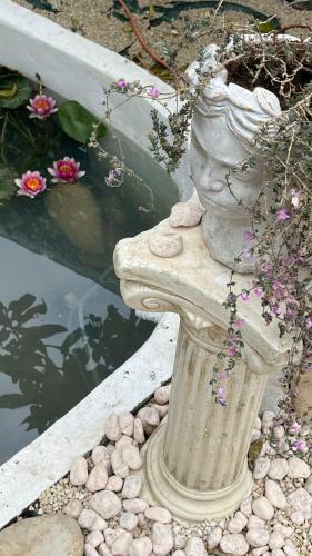 Villa Afrodite Mediterranea