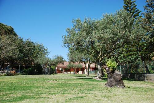 Casa Mascia