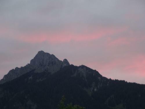 Apartamento Alpin-check-in