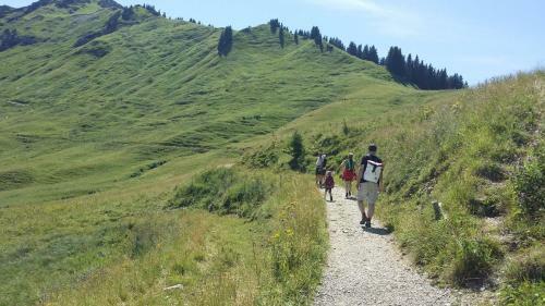 Apartamento Alpin-check-in