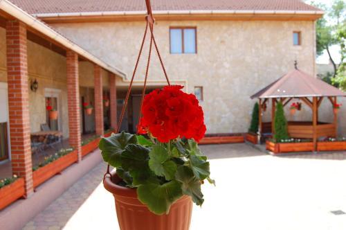 Hostal Euro Panzio