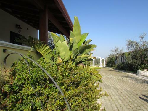 Bed & Breakfast Villa Terra Nostra