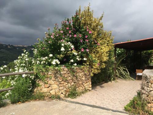 Agroturismo Agriturismo La Rocca Di Perti