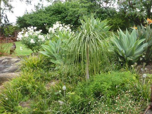 Hostal Marula Lodge