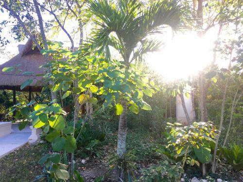 Hotel Casa Maya Calakmul
