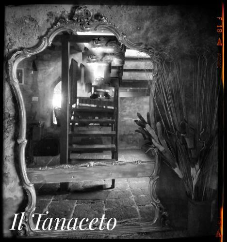 Hostal Il Tanaceto