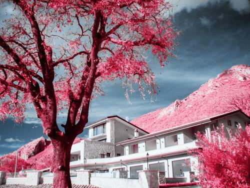 Hotel Tenuta Terra E Sole
