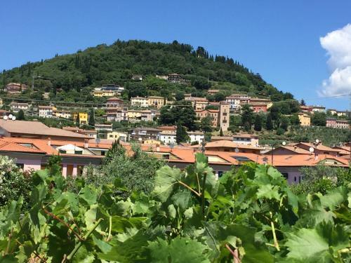 Hostal Borgo Piccolo